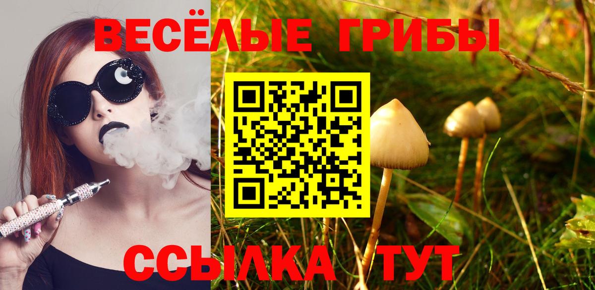Псилоцибиновые грибы мицелий  Вход с VPN  Нижний Тагил  Галлюциногенные грибы мухоморы 